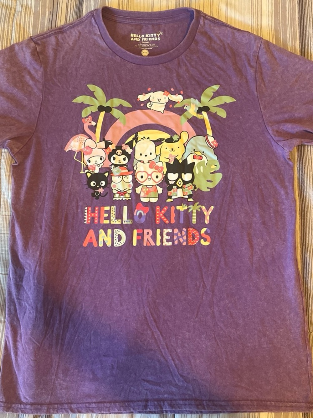 Sanrio Purple Hello Kitty & Friends Graphic Tee